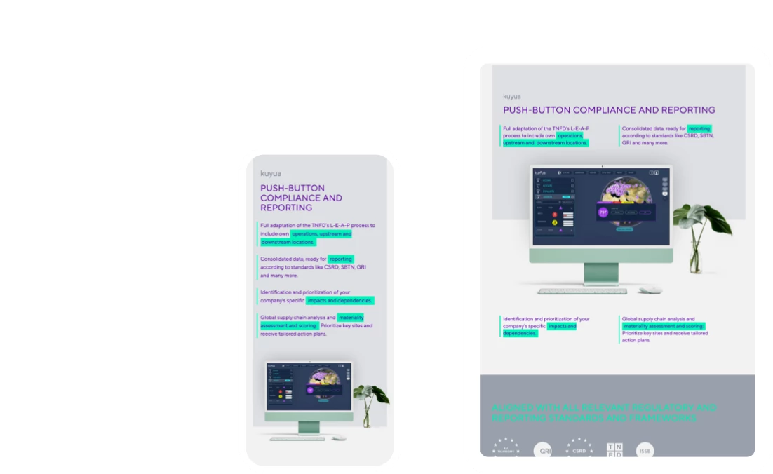 Darstellung der Kuyua-Website auf einem Smartphone und Tablet