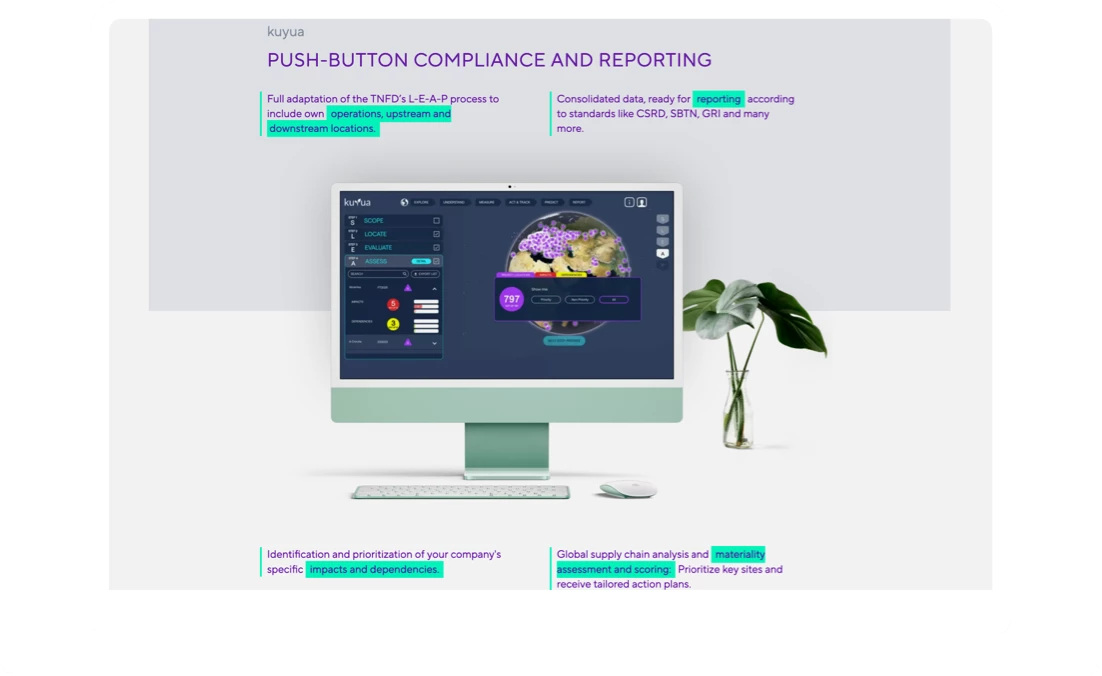 Darstellung der Kuyua-Website auf einem Laptop