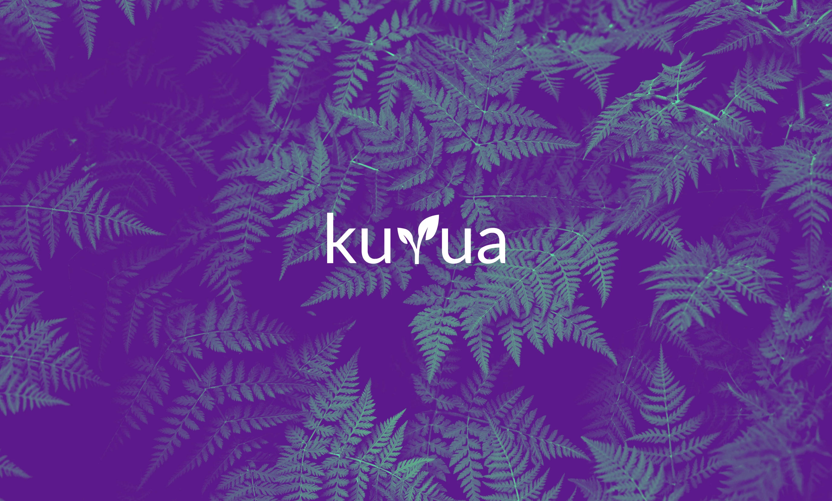 Kuyua-Logo vor Farn-Hintergrund
