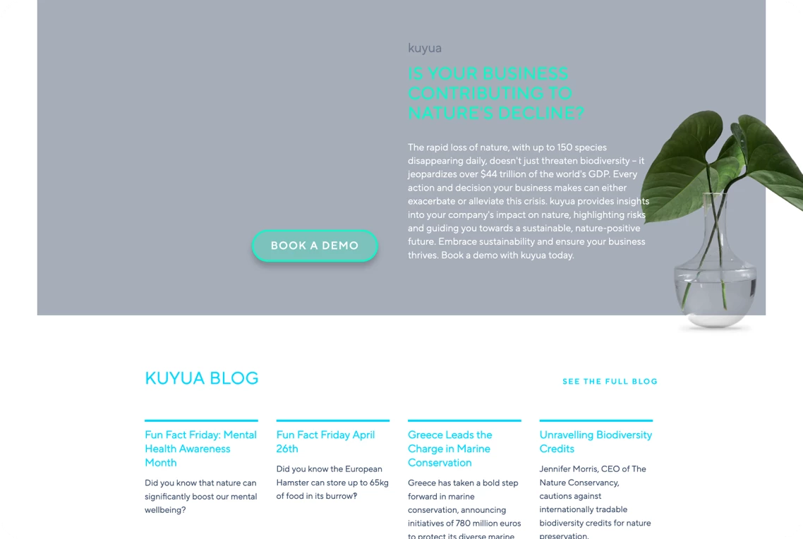 Screenshot der Kuyua-Website mit Ausschnitt aus der Homepage